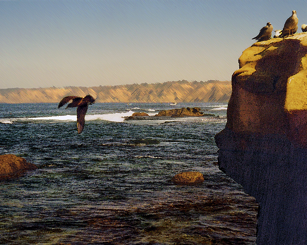 Steve Karol - Sea Cliff