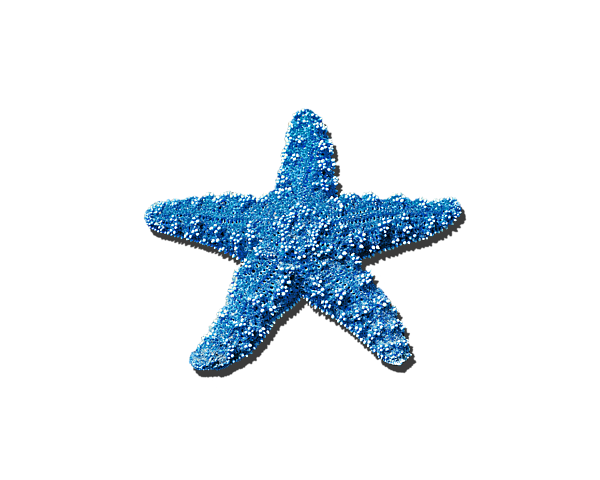 sea star