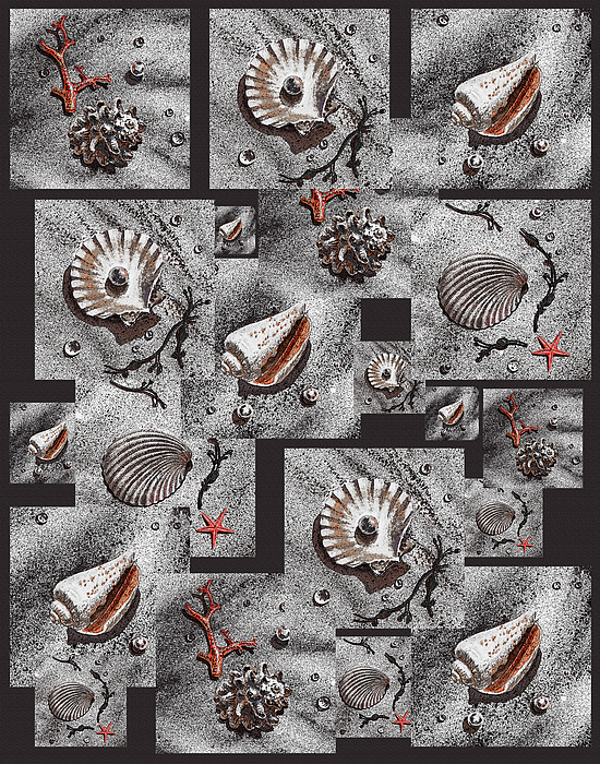 Seashells Design Challenge