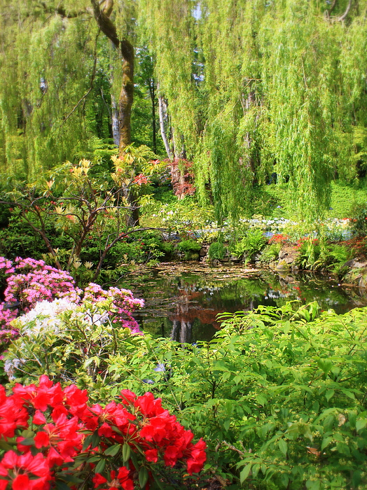 Carol Groenen - Secret Garden Pond