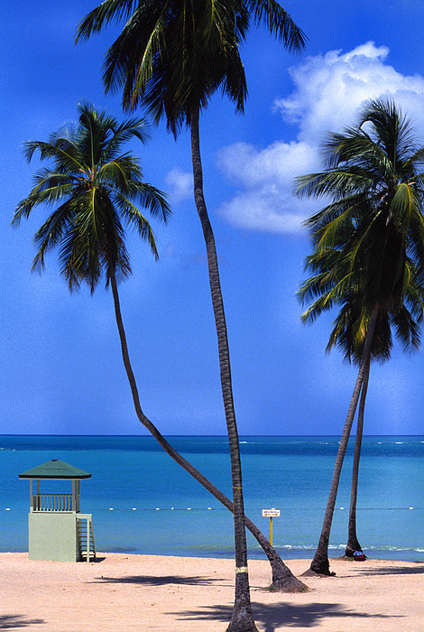 Seven Seas Beach Puerto Rico by Thomas R Fletcher