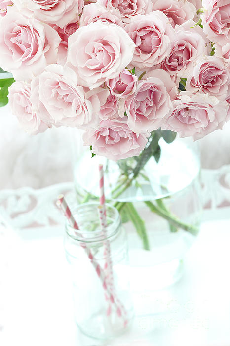 Shabby Chic Cottage Pastel Pink Roses In Clear Vase Romantic