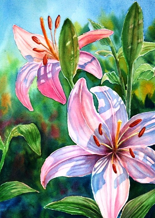 Lily Paintings