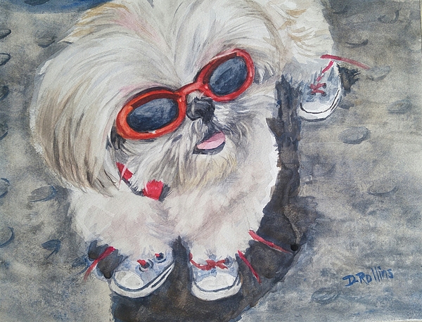 Shih tzu sneakers sale