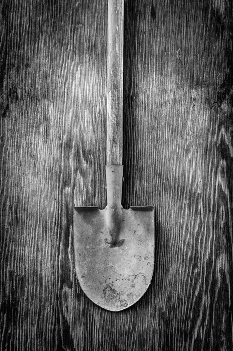 Short Handled Shovel On Plywood 72 In Bw Photograph