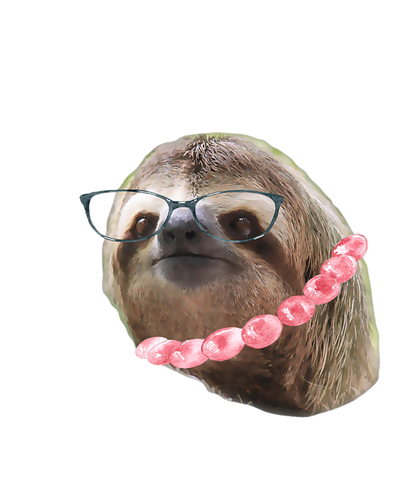 sloth with eye glasses