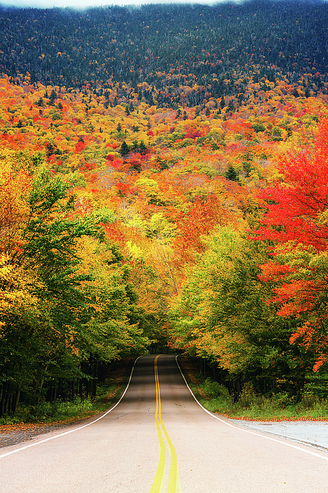 Fall Art