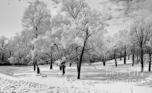 Luther Fine Art - Snow in South Park