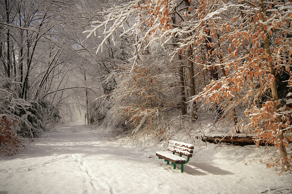 Snowy Bench Bath Towel by Lori Deiter Fine Art America