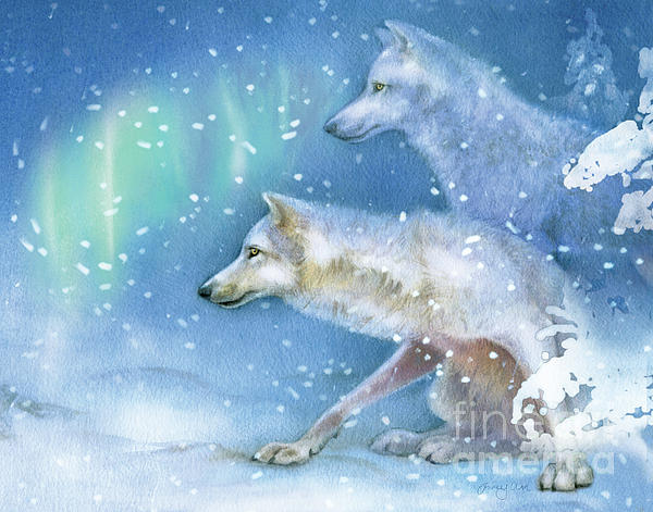 Tracy Herrmann - Wolf, White Wolf, Snowy Den