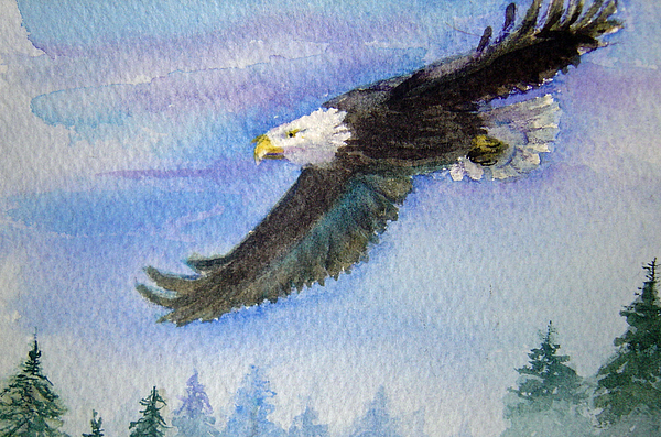 Katherine  Berlin - Soaring Eagle