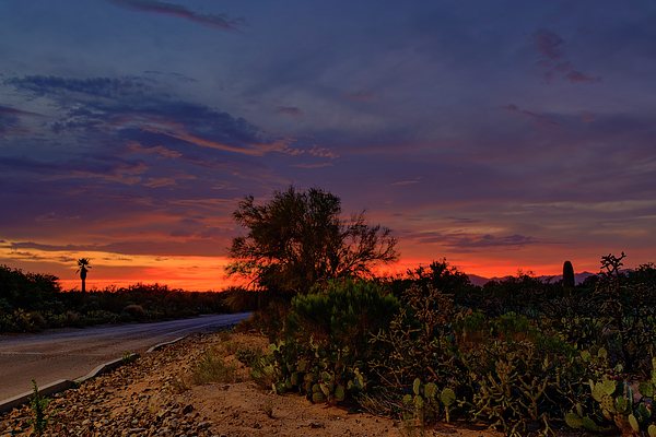 Sonoran Sunset H48 Photograph
