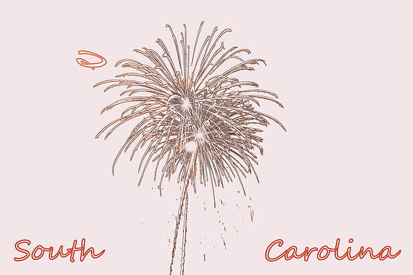 Lisa Wooten - South Carolina Fireworks