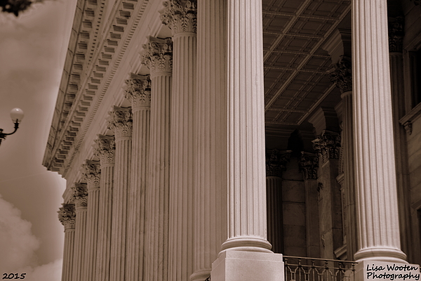 Lisa Wooten - South Carolina State House Columns 