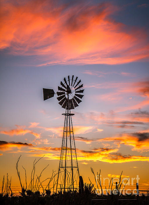 Robert Bales - Southwest Windmill