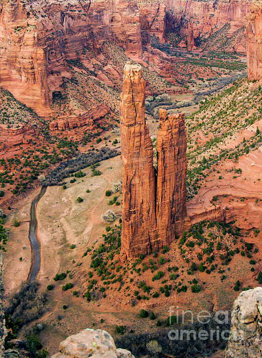 Spider Rock Bath Towel