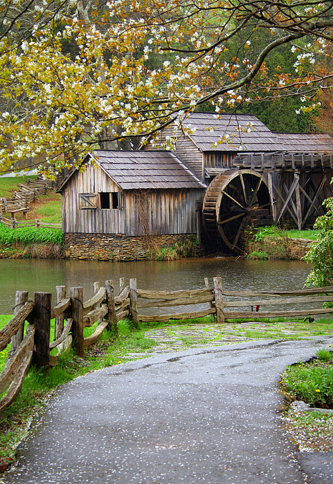 Spring At The Water Mill Photograph