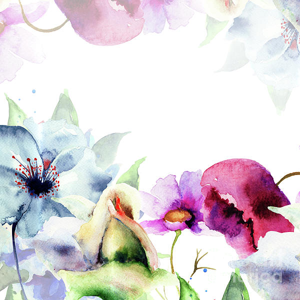 Wild flowers watercolor illustration Painting by Regina Jershova - Pixels
