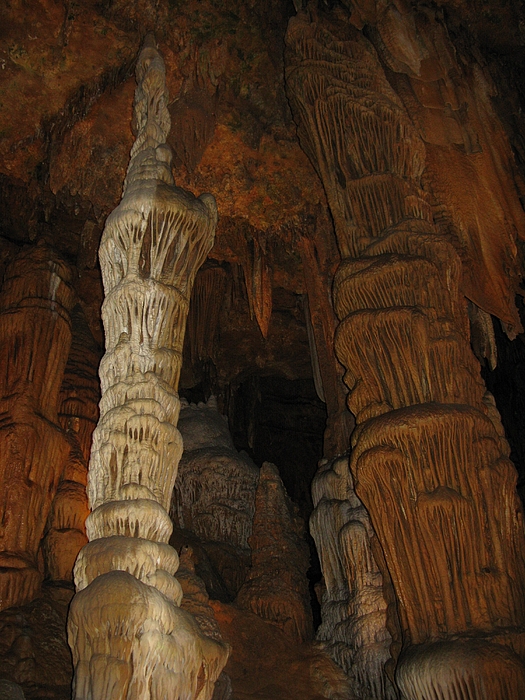 Stalacmites In Luray Caverns Va Photograph