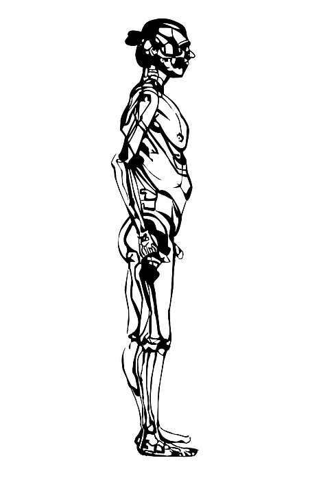 Standing Man Anatomy by Dragana Gajic