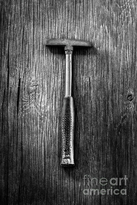 Steel Tack Hammer II On Plywood 74 In Bw Photograph