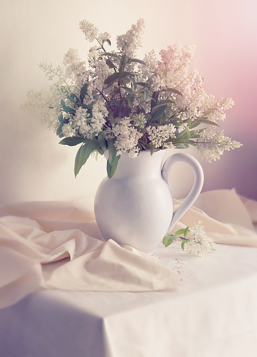 Still life with fresh lilac Photograph by Jaroslaw Blaminsky