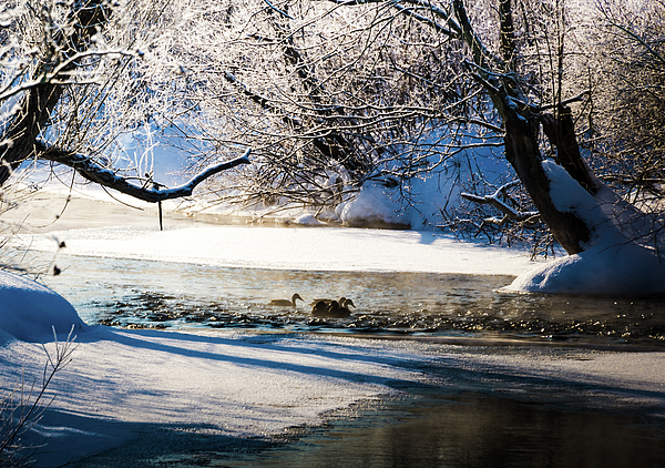 Cold Art