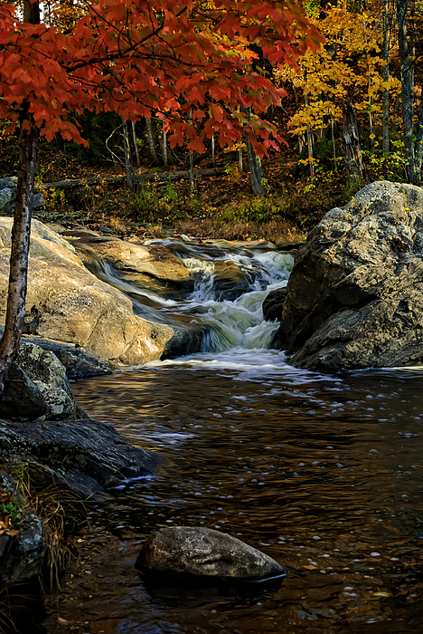 Stream In Autumn No.17 Photograph