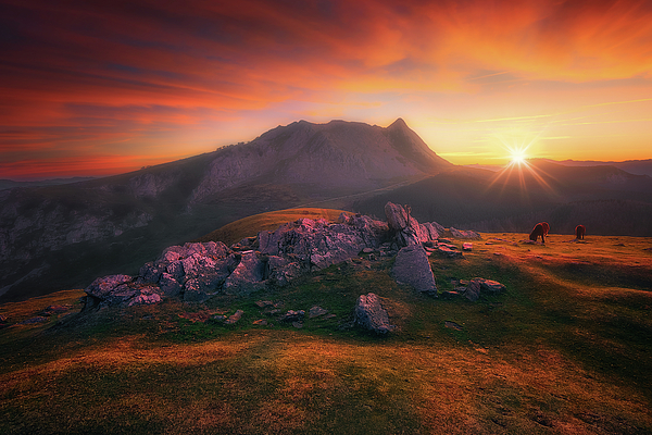 Sunrise Art