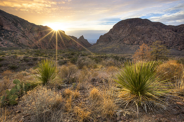 Sunrise at Big Bend National Park 114 Throw Pillow by Rob Greebon - Pixels