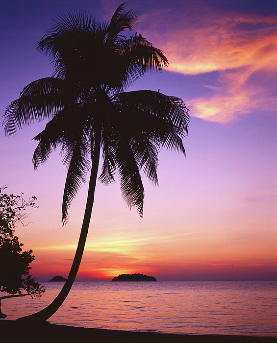 Sunset On A Tropical Island by Andrey Ushakov