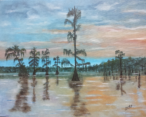 Judy Jones - Sunset on Henderson Swamp