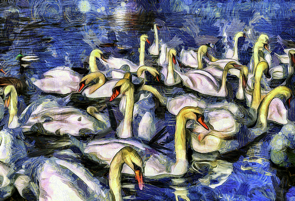 Swans Vincent Van Gogh Tapestry by David Pyatt - Fine Art America