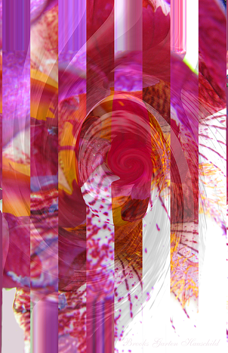 Brooks Garten Hauschild - Swirly Twirly Girly Iris - Manipulated Iris Photography - Abstract Iris Art