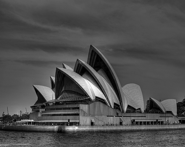 Sydney Opera House Print Image in Black and White Greeting Card for ...