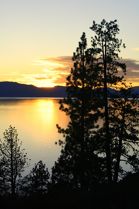 Lynn Bawden - Tahoe Sunset