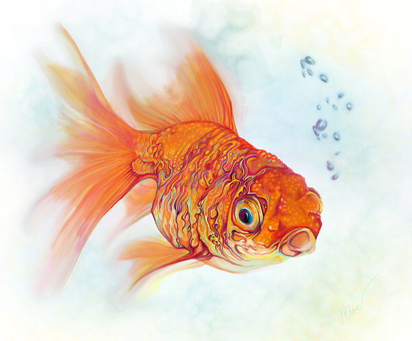 Tattoo and Watercolor Goldfish Shower Curtain by Julianne Black DiBlasi -  Pixels