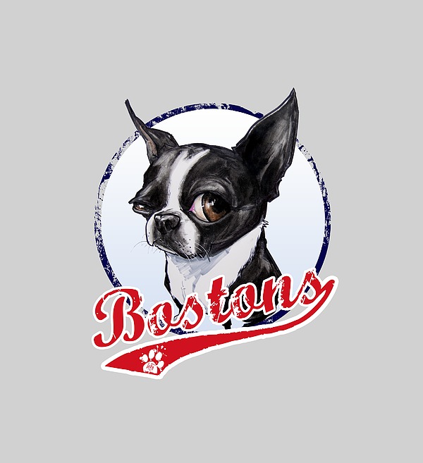 Team Boston Terrier Photograph