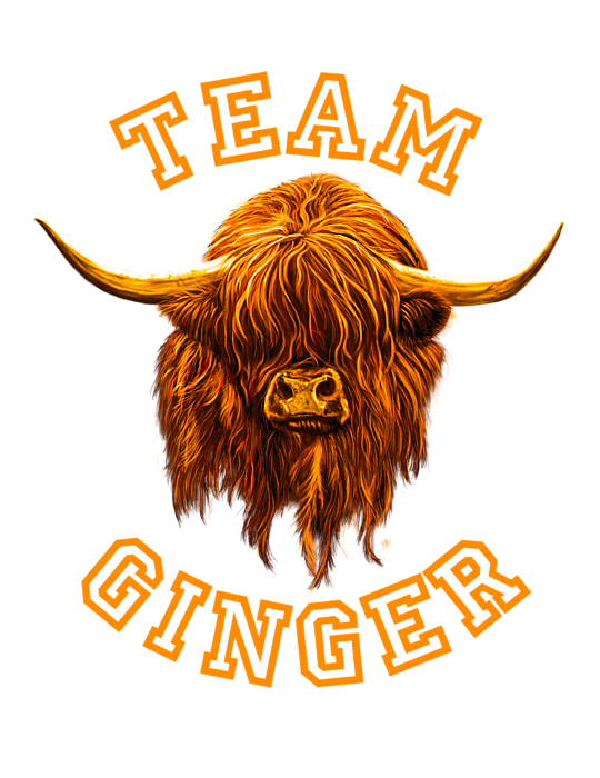 Team Ginger Scottish Highland Cow Toddler T Shirt by David Brodie