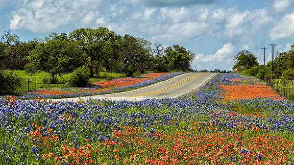 Stephen Stookey - Texas Highways