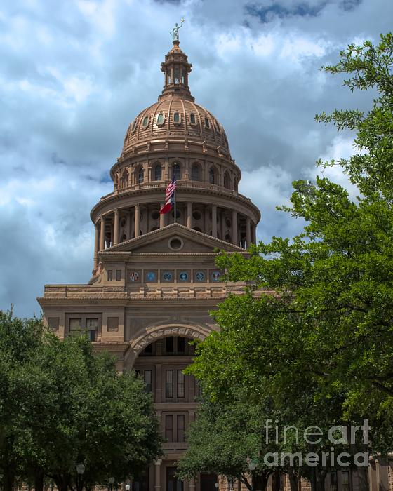 Luther Fine Art - Texas State Capitol 2