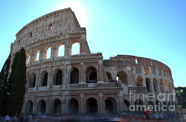 Camelia C - The Colosseum