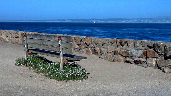 Beach Paintings