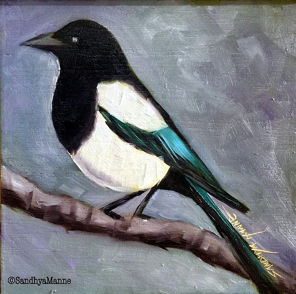 magpie iphone 11