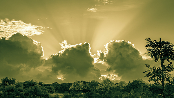Sunrise Art