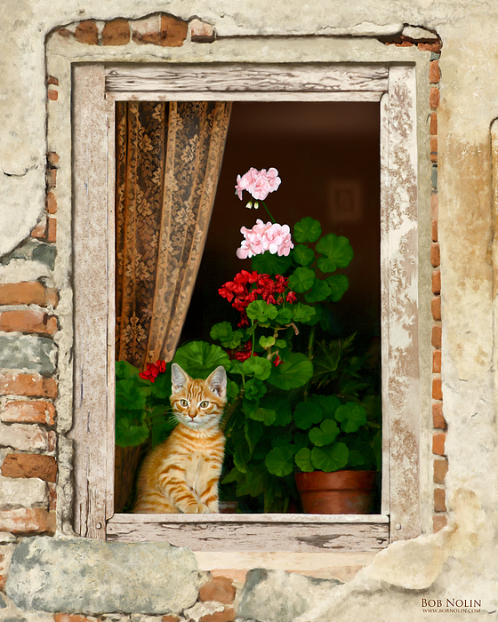 Cat Art