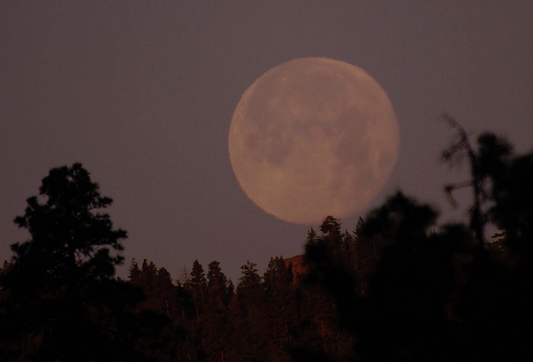 The Moon Over Oak Creek Photograph