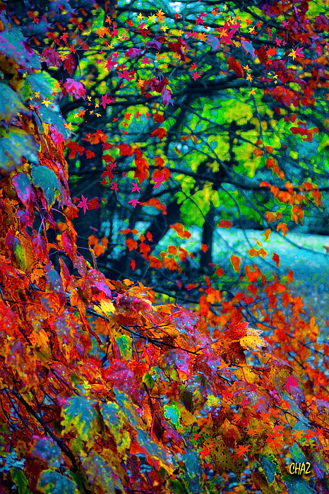 Nature Art