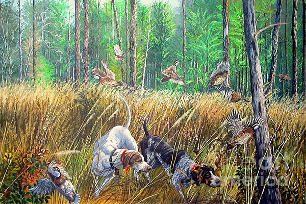 Daniel Butler - Thunder In The Pines- Bobwhite quail hunting
