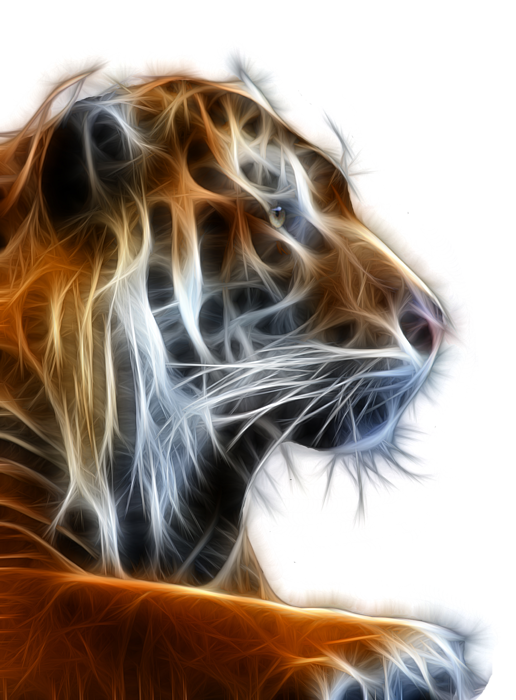 Tiger Fractal 2 Sticker by Shane Bechler - Pixels Merch